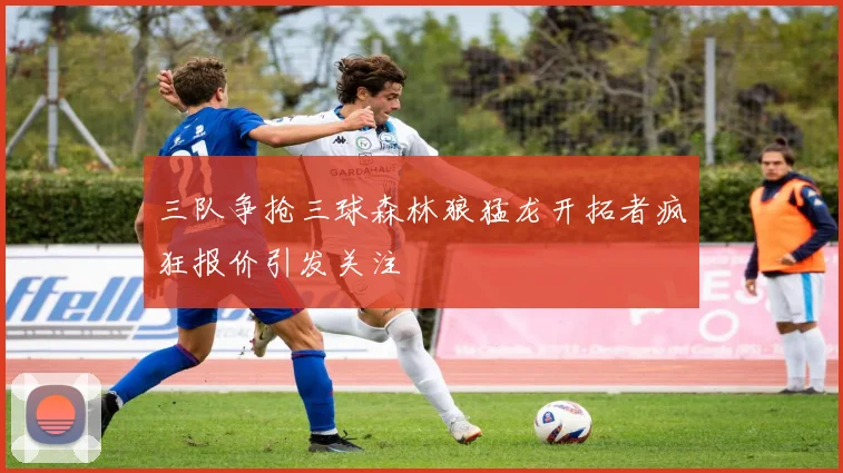 三队争抢三球森林狼猛龙开拓者疯狂报价引发关注
