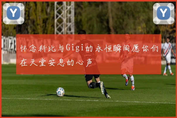 怀念科比与Gigi的永恒瞬间愿你们在天堂安息的心声