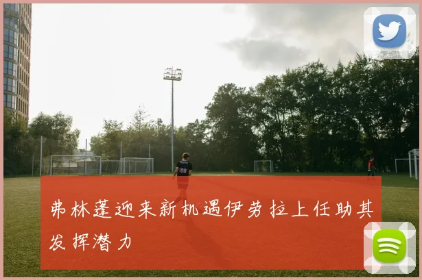 弗林蓬迎来新机遇伊劳拉上任助其发挥潜力